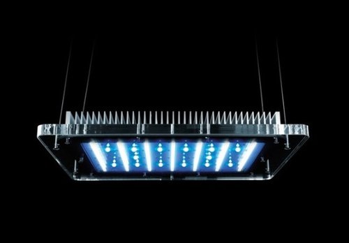 LED.jpg