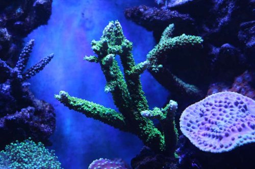IMG_0484.JPG