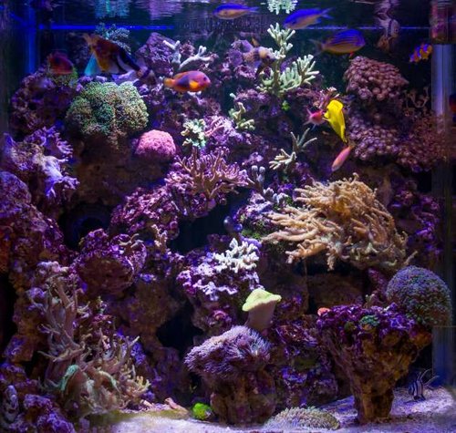 FTS af Cuben by Jonas