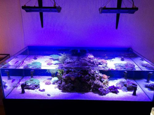 1.jpg (56.21 KiB) Vist 854 gange Front view