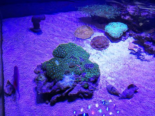 2.jpg (94.82 KiB) Vist 853 gange Højre side