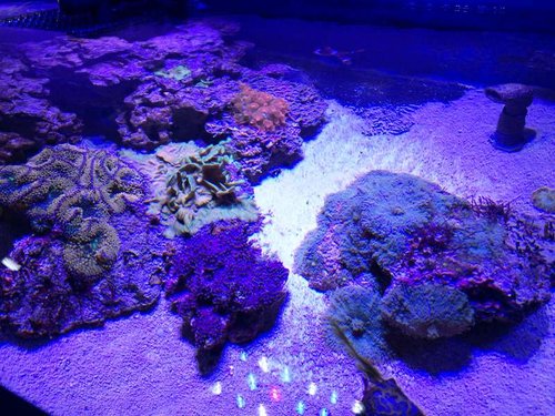 3.jpg (91.13 KiB) Vist 853 gange Venstre side