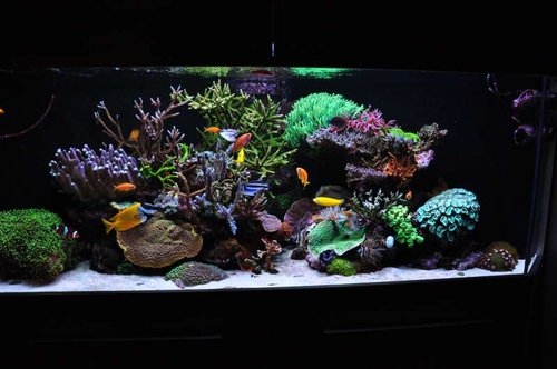 FTS