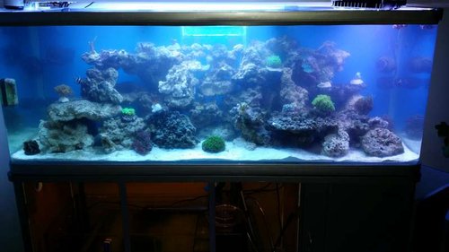 20141101_230920.jpg