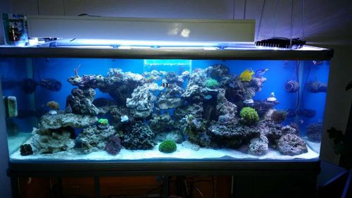 20141102_110750.jpg