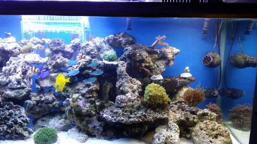 20141102_180723.jpg