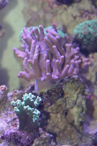 IMG_2218.JPG