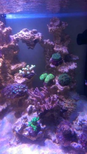 IMAG1259.jpg