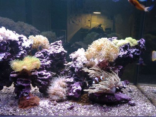 20141104_215109.jpg