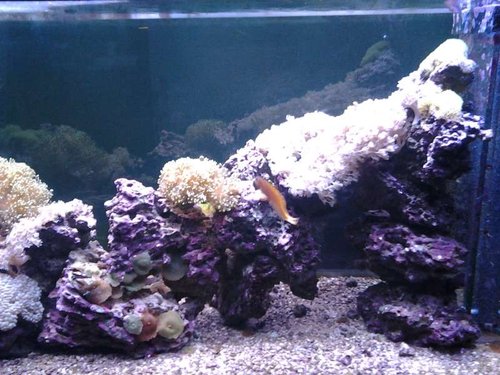 20141104_215052.jpg