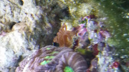 20141107_175434.jpg