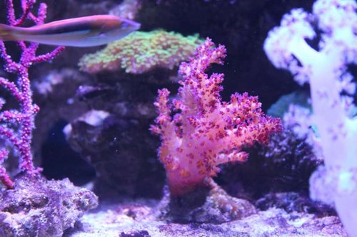 IMG_0511.JPG