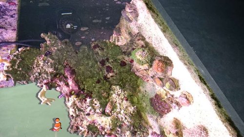 1415518536192-309035016.jpg