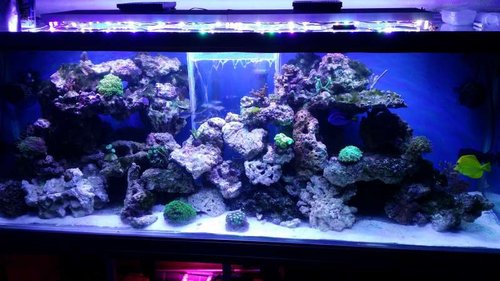 20141114_125316.jpg