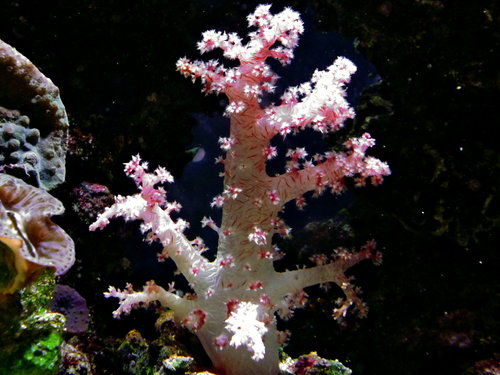 DSCF9735.jpg