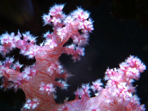 DSCF9739_1.jpg