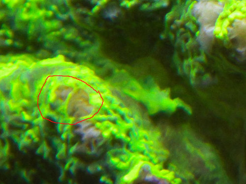 DSCF9745.jpg