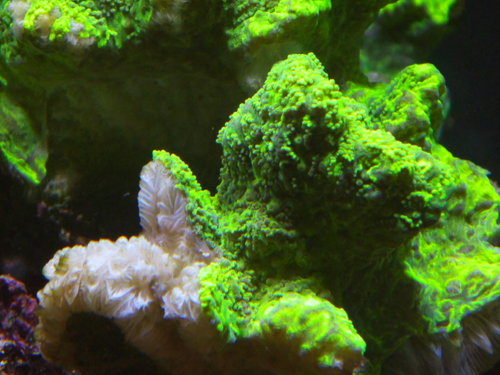 DSCF9745_1.jpg