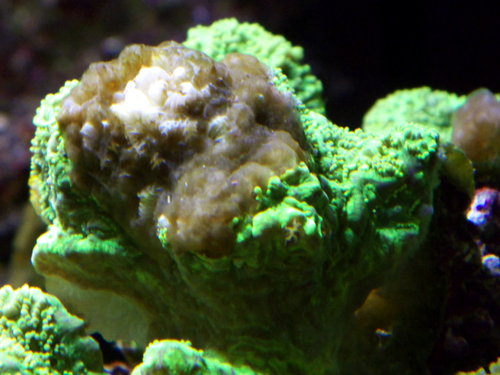 DSCF9748.jpg