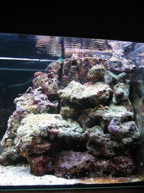 Akvarie2.jpg