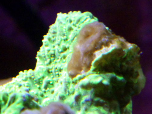DSCF9749.jpg
