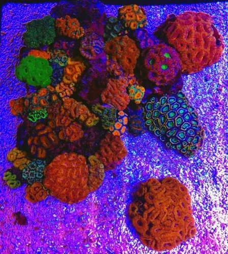 10804936_10204321292205310_1766682609_n.jpg