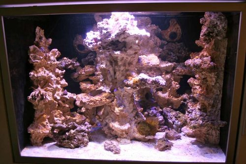 Full tank shot