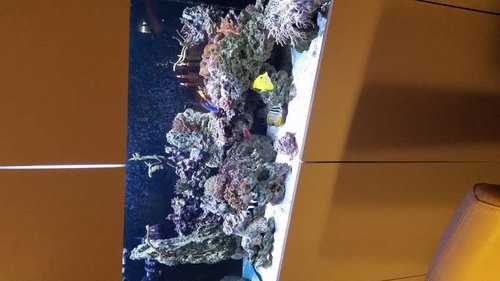 20141122_182419.jpg