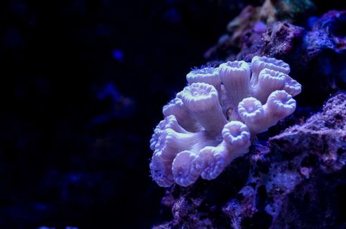 TNN_5548-2.jpg