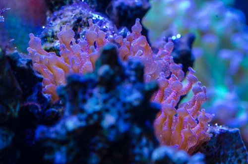 TNN_5659-2.jpg