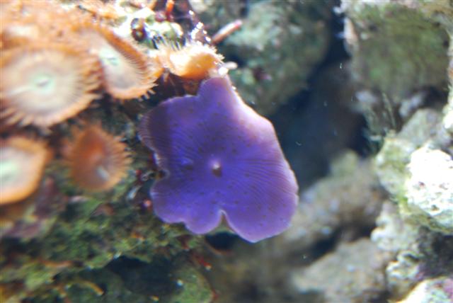 DSC_0192.JPG
