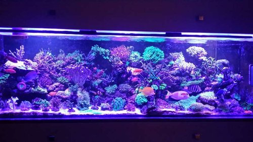 20141201_212042.jpg