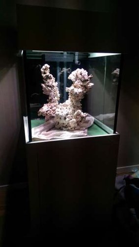 IMAG0660.jpg