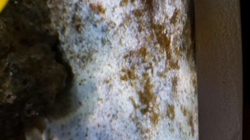 20141214_164942.jpg