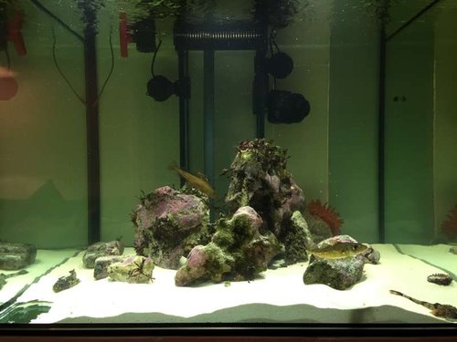 2014-12-13 18.39.48.jpg