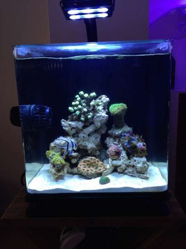 FTS d. 18. december 2014