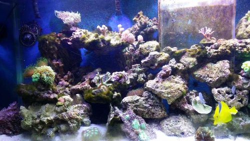 20141220_180324.jpg