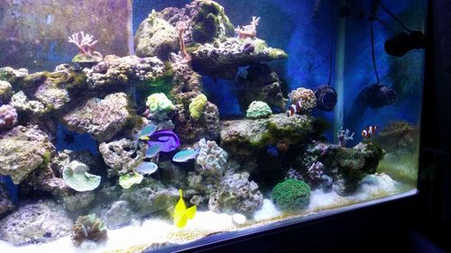 20141220_180319.jpg