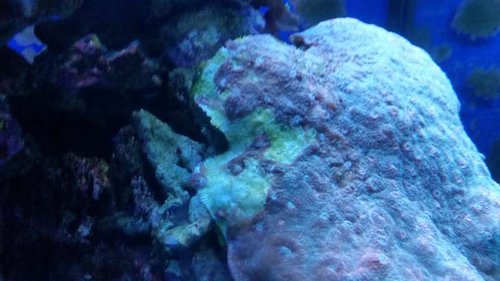 20141223_152054[1].jpg