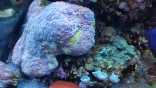 20141223_152112[1].jpg