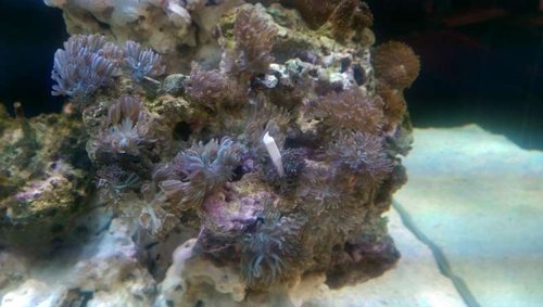 IMAG0680.jpg