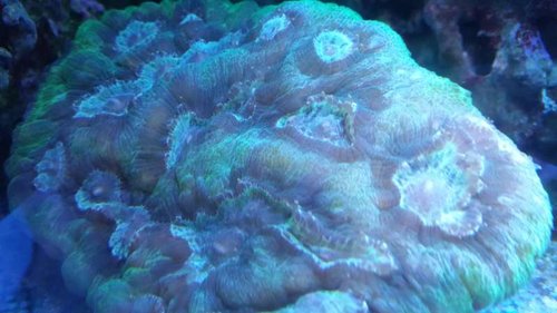 20141225_201707[1].jpg