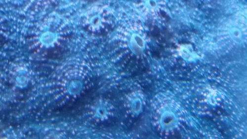 20141225_201640[1].jpg