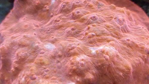 20141225_201739[1].jpg