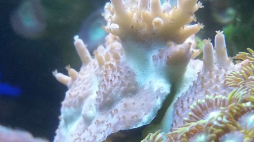 20141227_183000[1].jpg
