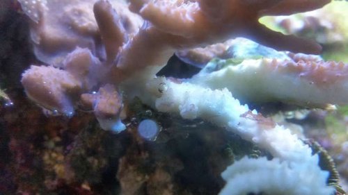 20141227_183018[1].jpg