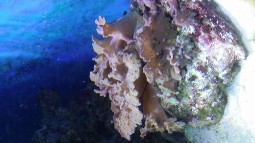20141227_214806.jpg