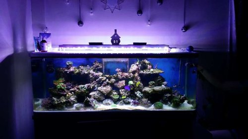 20141227_215309.jpg