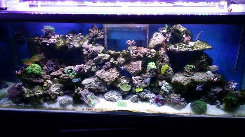 20141227_215326.jpg