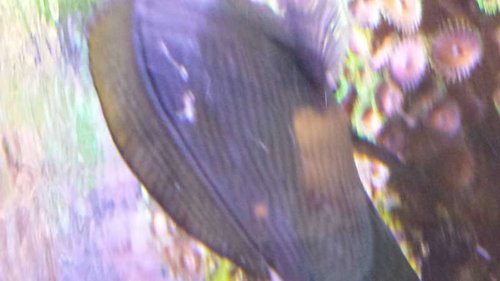 20141229_142709.jpg